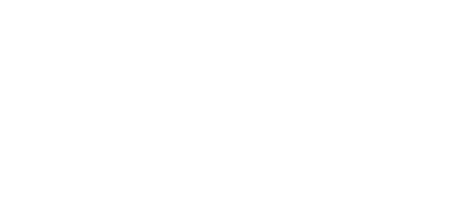 The Wondring Himalaya